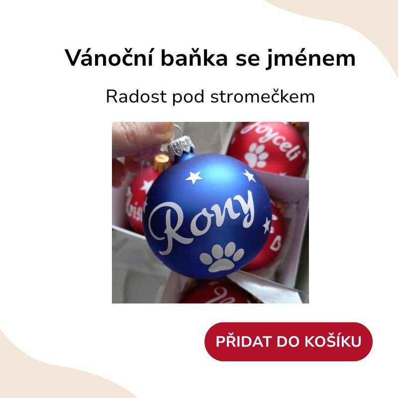 Tip na dárek vánoční baňka se jménem modrá