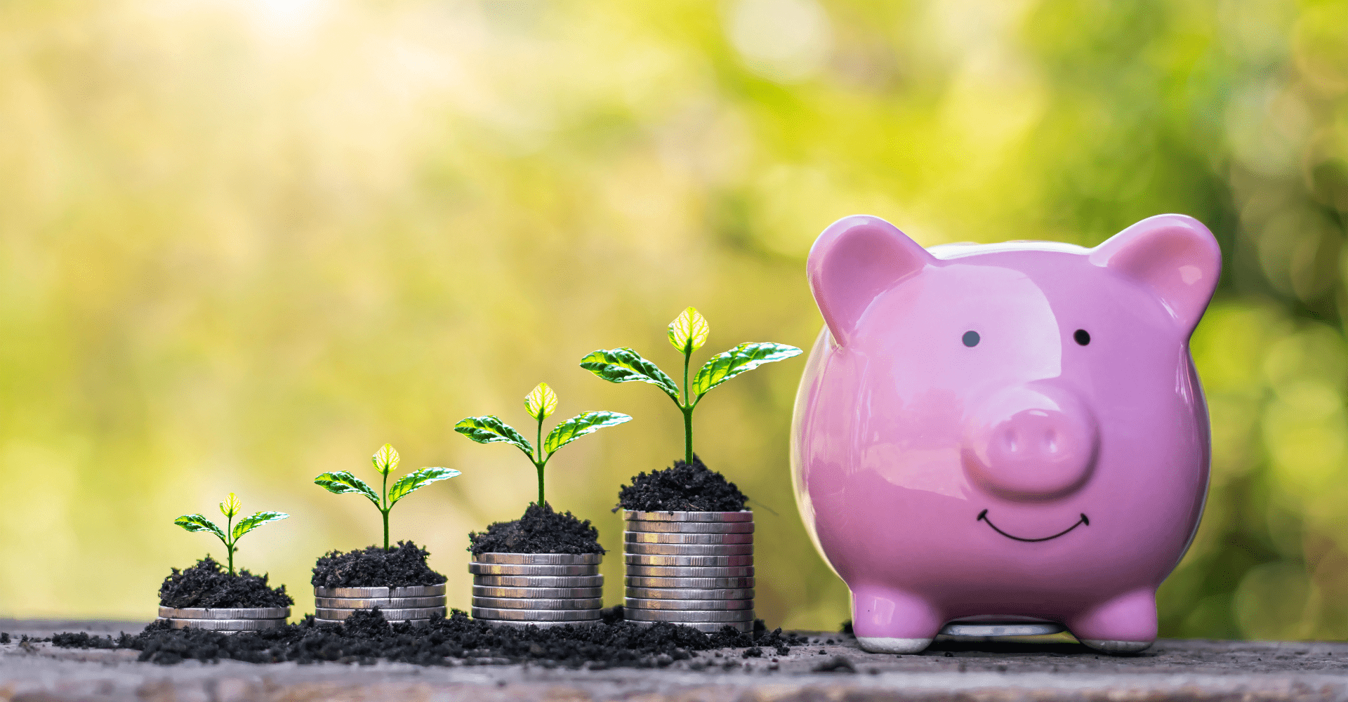 Peníze klíčí díky finanční gramotnosti. Růžová pokladnička prasátko