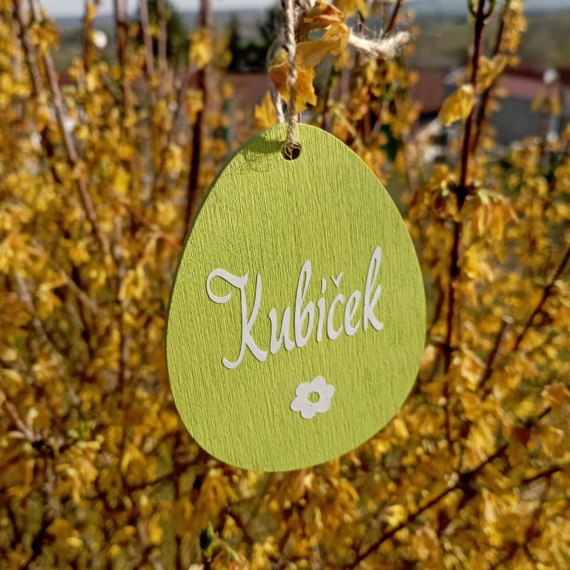 Barevné velikonoční vajíčko se jménem a kytičkou