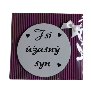 Magnetka Jsi úžasný syn